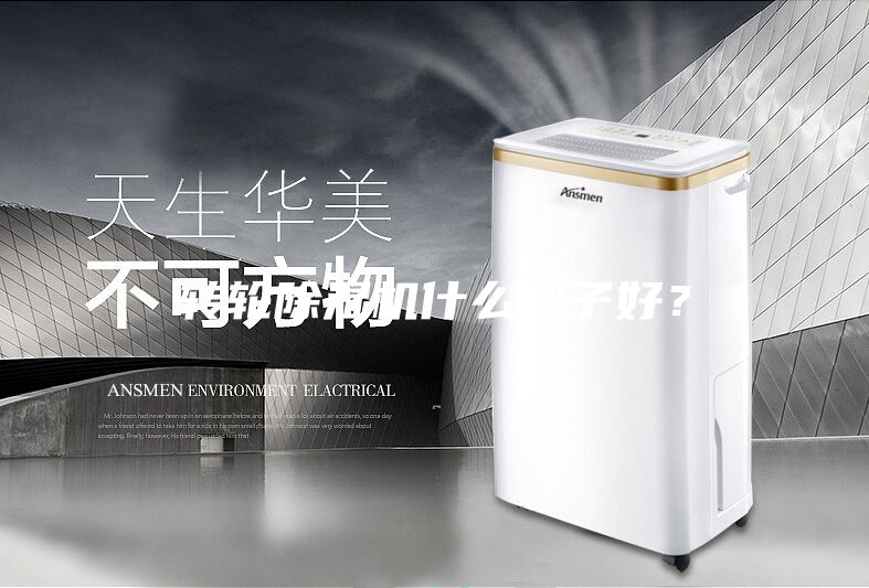轉(zhuǎn)輪除濕機(jī)什么牌子好？