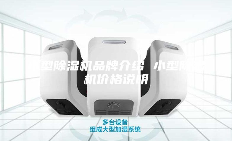 小型除濕機(jī)品牌介紹 小型除濕機(jī)價(jià)格說(shuō)明