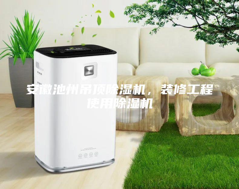 安徽池州吊頂除濕機(jī)，裝修工程使用除濕機(jī)