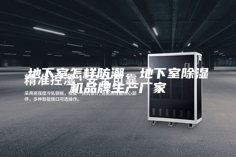 地下室怎樣防潮，地下室除濕機(jī)品牌生產(chǎn)廠家