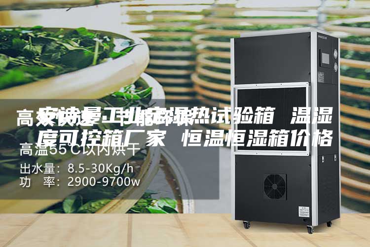 安詩曼工業(yè)定濕熱試驗(yàn)箱 溫濕度可控箱廠家 恒溫恒濕箱價(jià)格