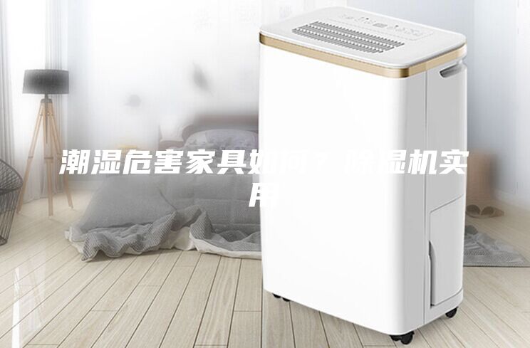 潮濕危害家具如何？除濕機(jī)實(shí)用