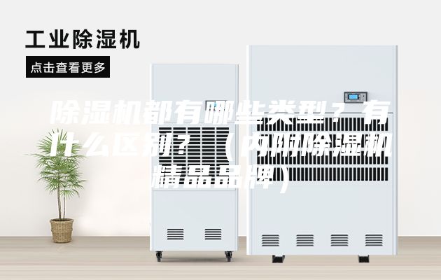 除濕機(jī)都有哪些類型？有什么區(qū)別？（內(nèi)附除濕機(jī)精品品牌）