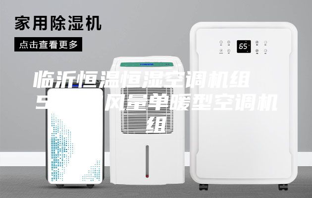 臨沂恒溫恒濕空調(diào)機組  5000風量單暖型空調(diào)機組
