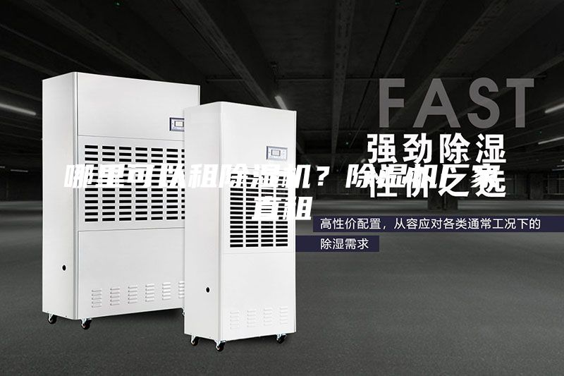 哪里可以租除濕機(jī)？除濕機(jī)廠家直租
