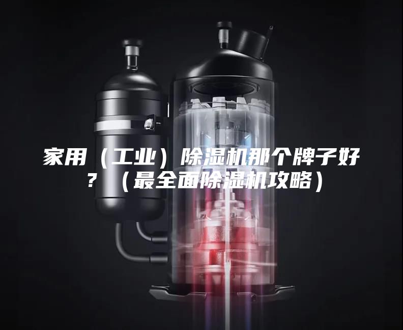 家用（工業(yè)）除濕機(jī)那個(gè)牌子好？（最全面除濕機(jī)攻略）