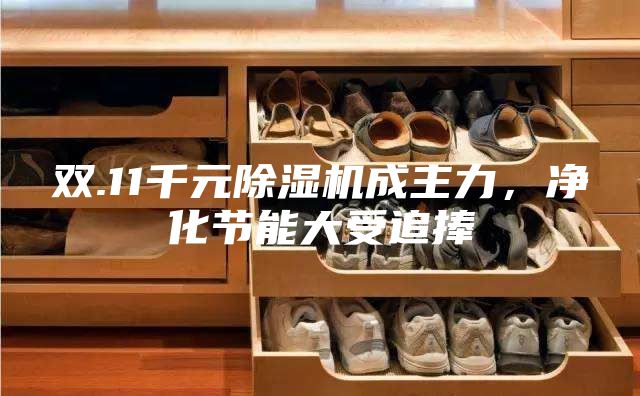 雙.11千元除濕機(jī)成主力，凈化節(jié)能大受追捧