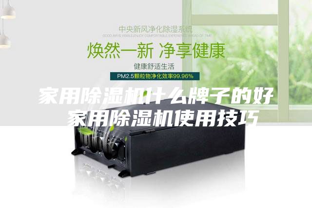 家用除濕機什么牌子的好 家用除濕機使用技巧