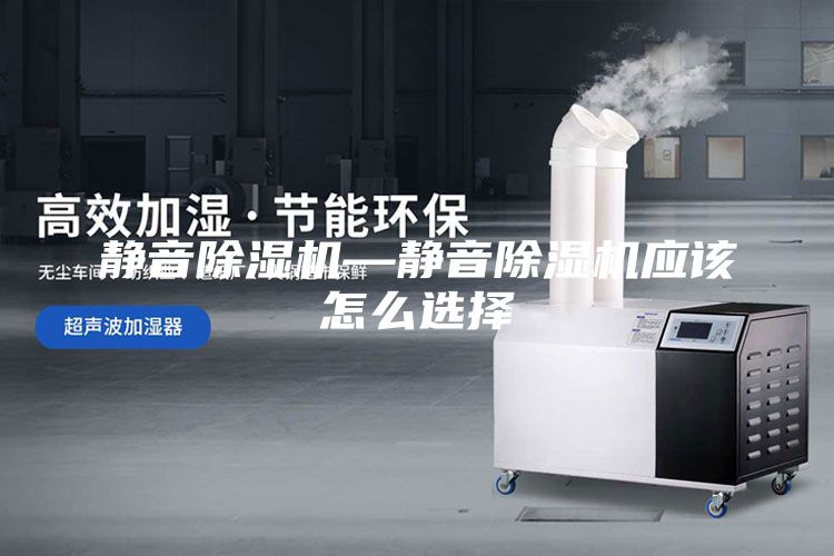 靜音除濕機(jī)—靜音除濕機(jī)應(yīng)該怎么選擇