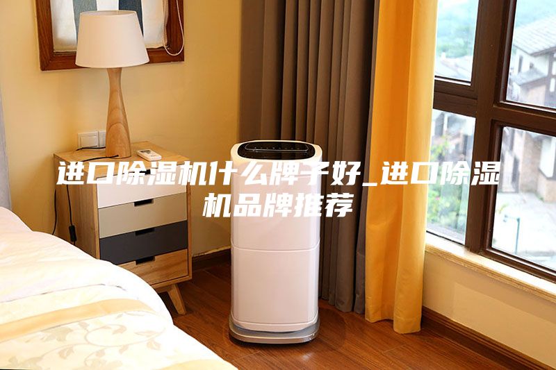 進口除濕機什么牌子好_進口除濕機品牌推薦