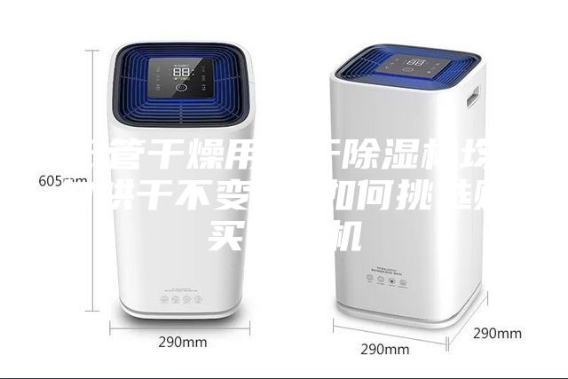 紙管干燥用烘干除濕機(jī)均勻烘干不變形 如何挑選購買除濕機(jī)