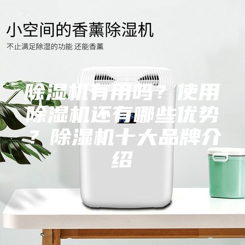 除濕機(jī)有用嗎？使用除濕機(jī)還有哪些優(yōu)勢(shì)？除濕機(jī)十大品牌介紹