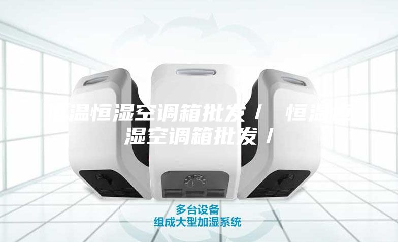 恒溫恒濕空調(diào)箱批發(fā)／ 恒溫恒濕空調(diào)箱批發(fā)／