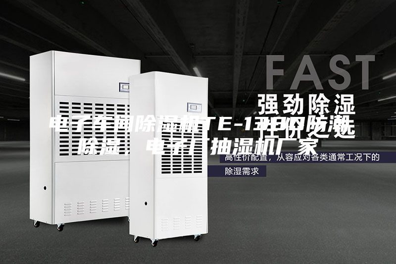 電子車間除濕機TE-138D防潮除濕，電子廠抽濕機廠家