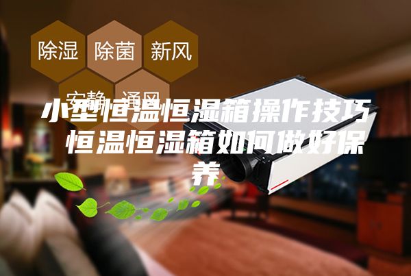 小型恒溫恒濕箱操作技巧 恒溫恒濕箱如何做好保養(yǎng)