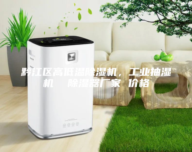 黔江區(qū)高低溫除濕機(jī)，工業(yè)抽濕機(jī)  除濕器廠家 價(jià)格