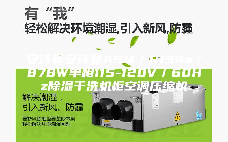 安詩(shī)曼安詩(shī)曼ASM／R134a／878W單相115-120V／60Hz除濕干洗機(jī)柜空調(diào)壓縮機(jī)