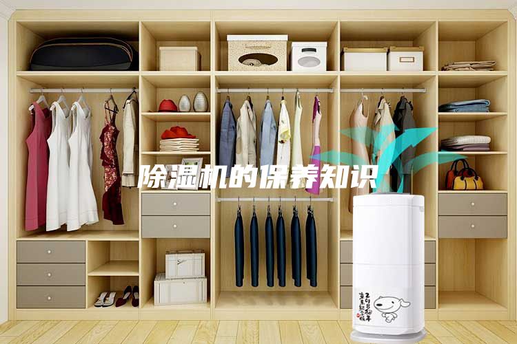 除濕機(jī)的保養(yǎng)知識(shí)