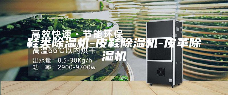 鞋類除濕機(jī)-皮鞋除濕機(jī)-皮革除濕機(jī)