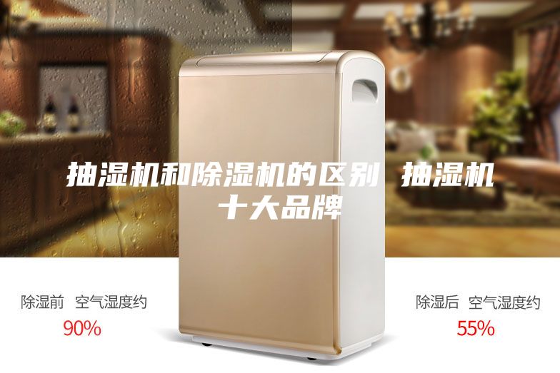 抽濕機和除濕機的區(qū)別 抽濕機十大品牌