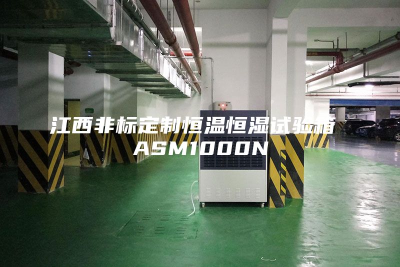 江西非標(biāo)定制恒溫恒濕試驗箱 ASM1000N