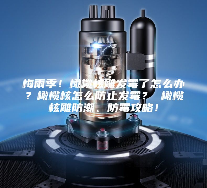 梅雨季！橄欖核雕發(fā)霉了怎么辦？橄欖核怎么防止發(fā)霉？ 橄欖核雕防潮、防霉攻略！