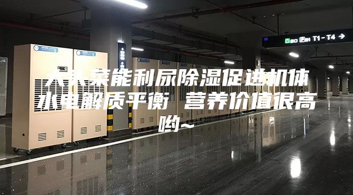 大頭菜能利尿除濕促進(jìn)機(jī)體水電解質(zhì)平衡 營(yíng)養(yǎng)價(jià)值很高喲~