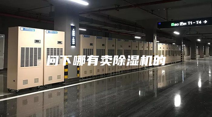 問(wèn)下哪有賣(mài)除濕機(jī)的
