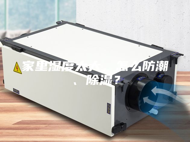 家里濕度太大，怎么防潮、除濕？