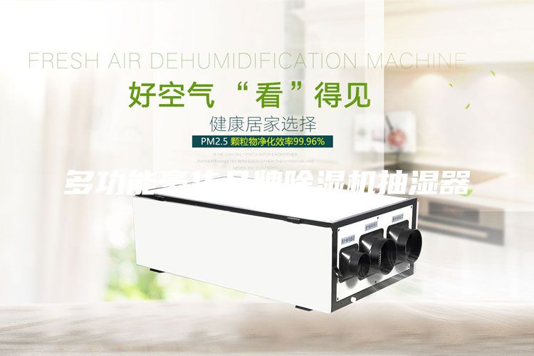 多功能豪華品牌除濕機抽濕器