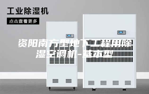 資陽南方型地下工程用除濕空調(diào)機(jī)-基本型