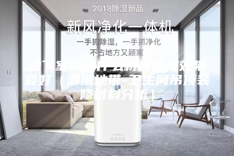 地下室吊頂什么材料防潮效果最好（潮濕地帶-衛(wèi)生間吊頂裝修材料分析）