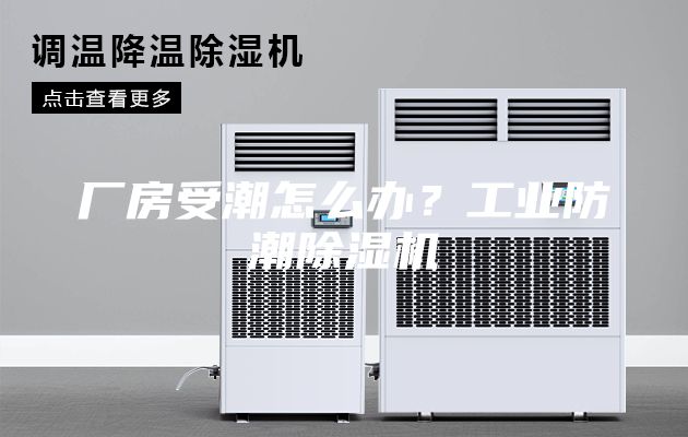 廠房受潮怎么辦？工業(yè)防潮除濕機(jī)