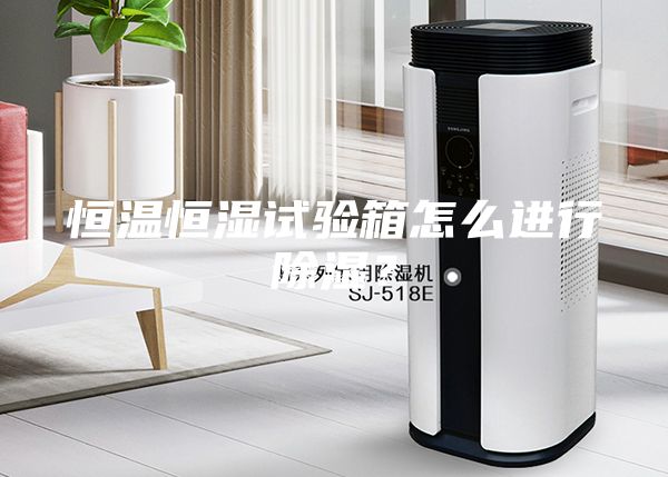 恒溫恒濕試驗(yàn)箱怎么進(jìn)行除濕？