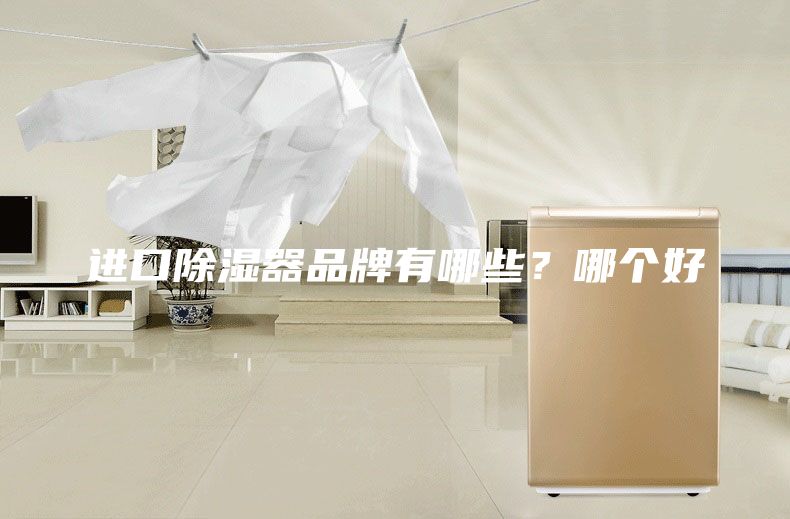 進(jìn)口除濕器品牌有哪些？哪個(gè)好