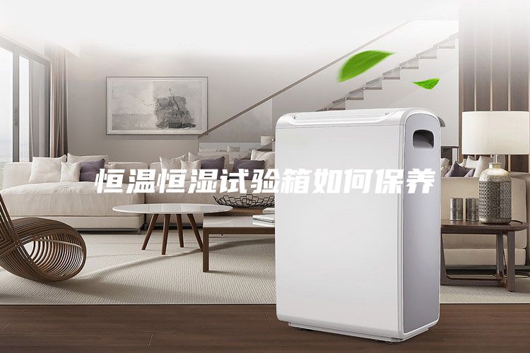 恒溫恒濕試驗(yàn)箱如何保養(yǎng)