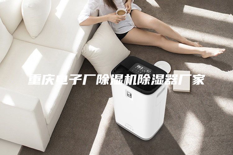 重慶電子廠除濕機除濕器廠家