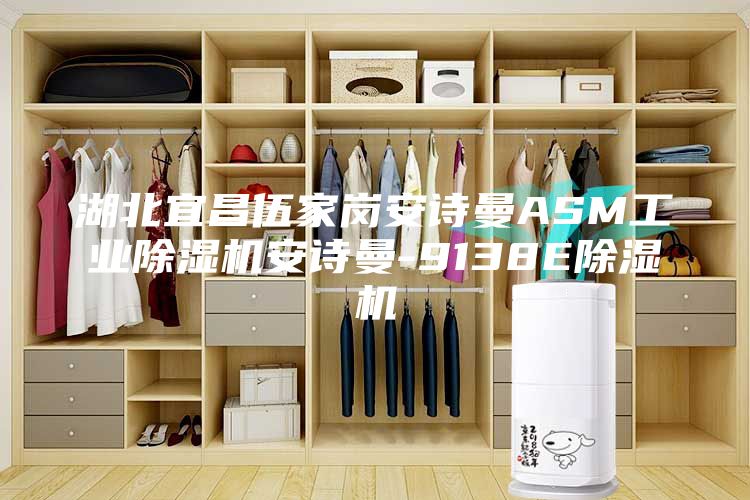 湖北宜昌伍家崗安詩(shī)曼ASM工業(yè)除濕機(jī)安詩(shī)曼-9138E除濕機(jī)