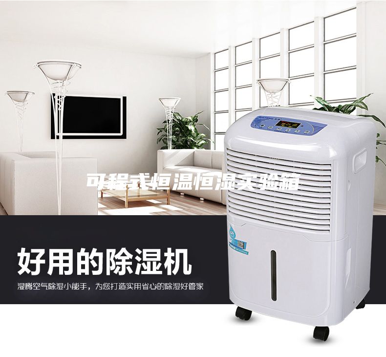 可程式恒溫恒濕實驗箱