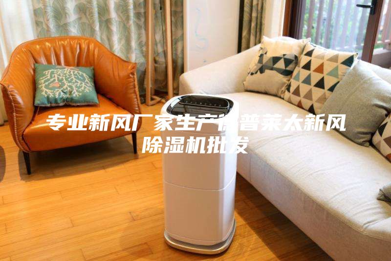 專業(yè)新風(fēng)廠家生產(chǎn)德普萊太新風(fēng)除濕機(jī)批發(fā)