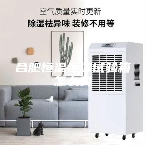 合肥恒溫恒濕試驗箱怎么賣