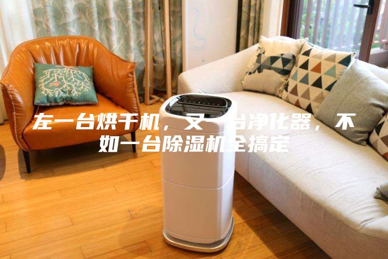 左一臺烘干機，又一臺凈化器，不如一臺除濕機全搞定