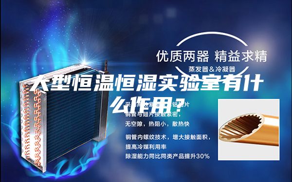 大型恒溫恒濕實(shí)驗(yàn)室有什么作用？