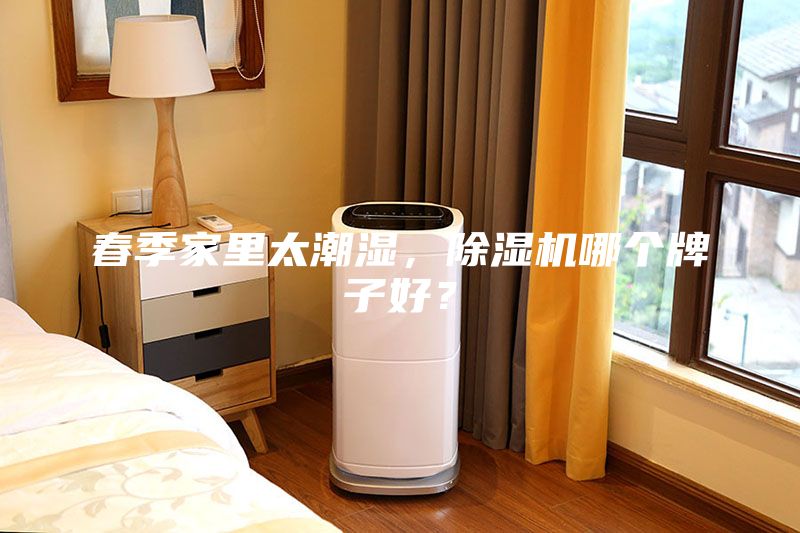 春季家里太潮濕，除濕機哪個牌子好？