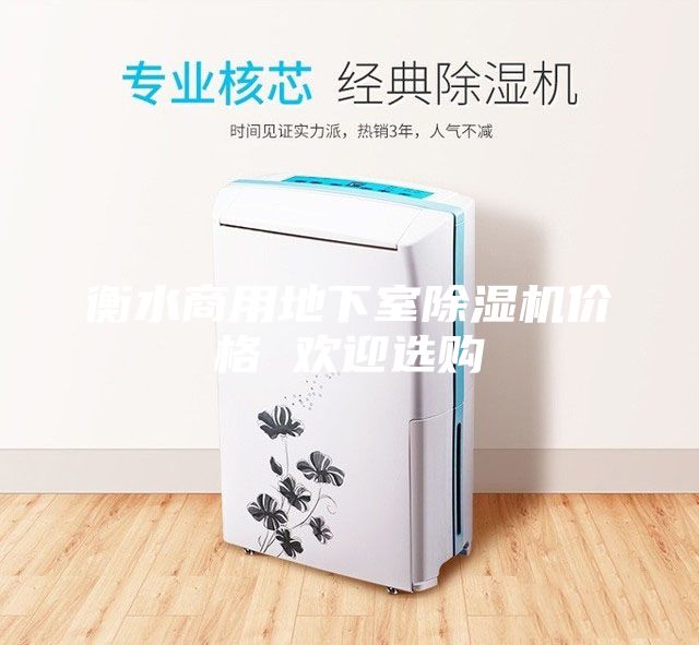 衡水商用地下室除濕機(jī)價(jià)格 歡迎選購