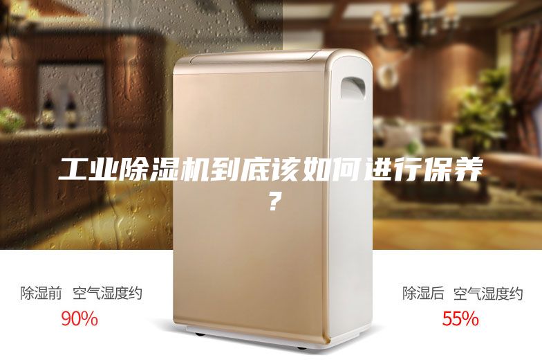 工業(yè)除濕機到底該如何進行保養(yǎng)？
