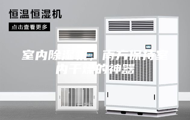 室內(nèi)除濕機(jī)，南方保持室內(nèi)干燥的神器