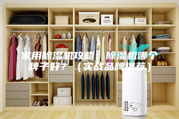 家用除濕機攻略：除濕機哪個牌子好？（實戰(zhàn)品牌推薦）