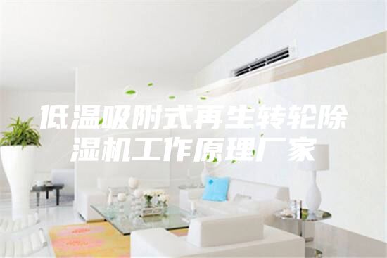 低溫吸附式再生轉(zhuǎn)輪除濕機(jī)工作原理廠家