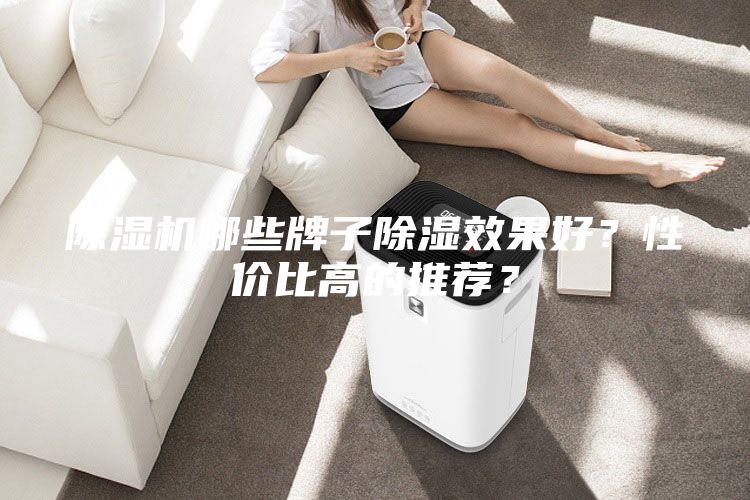 除濕機(jī)哪些牌子除濕效果好？性價(jià)比高的推薦？